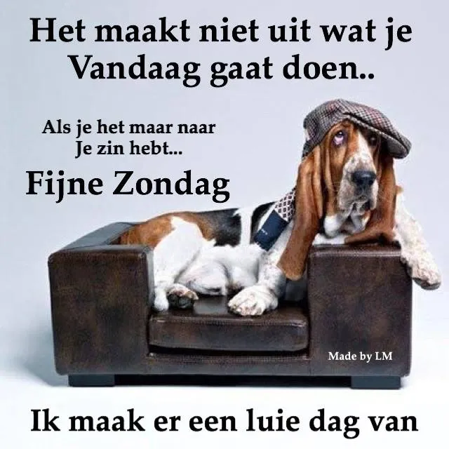 Hond in hoed zit ontspannen met tekst over zondag en genieten van een luie dag.