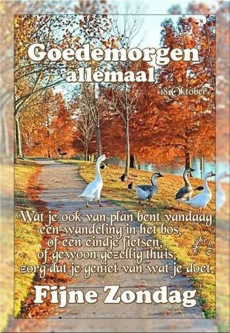 Een serene herfstochtend met gansen bij een vijver en gouden bladeren.