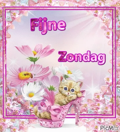 Een schattige kitten in een roze schoen met bloemen op de achtergrond.
