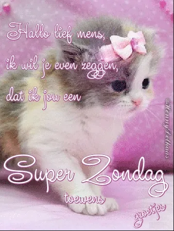 Schattige kitten met een strik op een roze achtergrond, tekst over een fijne zondag.