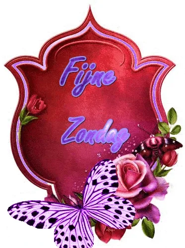 Decoratieve afbeelding met de tekst 'Fijne Zondag', bloemen en een vlinder.