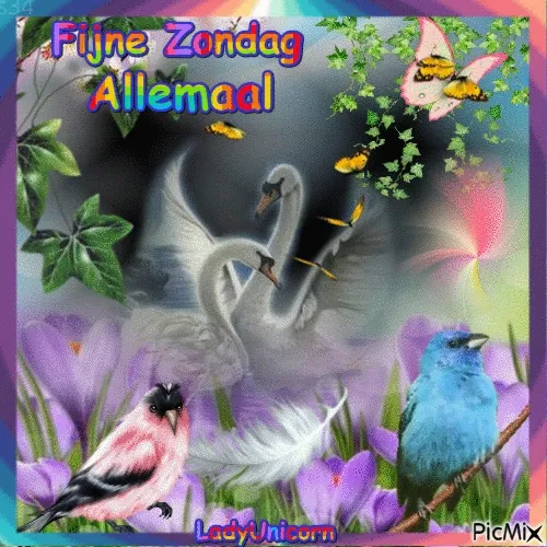 Kleurige afbeelding met vogels, zwanen en bloemen met tekst "Fijne Zondag Allemaal".