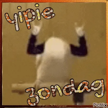 Een persoon juicht met beide handen omhoog, omringd door kleurige tekst.