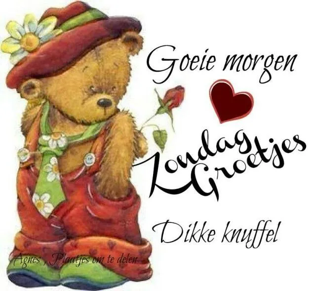 Een schattige beer met een roos, groet en knuffel voor de zondag.