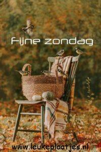 fijne zondag herfst