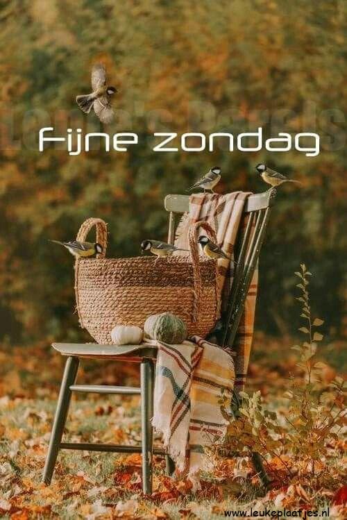 ᐅ fijne zondag herfst - fijne zondag herfst plaatjes