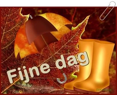 Gouden laarzen en een paraplu op een achtergrond van bladeren. Tekst: Fijne dag.