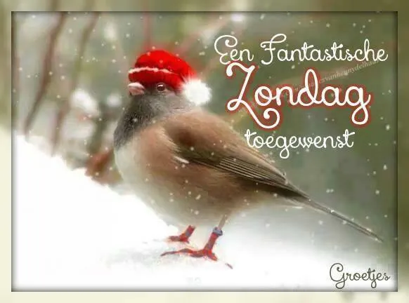 Vogeltje met een kerstmuts in een sneeuwachtige achtergrond. Groeten voor zondag.
