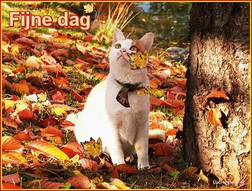 Witte kat met een das, omringd door herfstbladeren bij een boom.