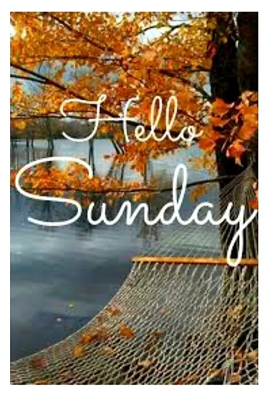 Eénpersoons hangmat onder bomen met herfstbladeren, tekst "Hello Sunday".