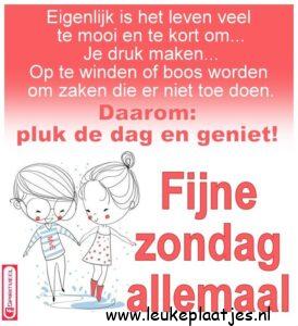 fijne zondag tekst
