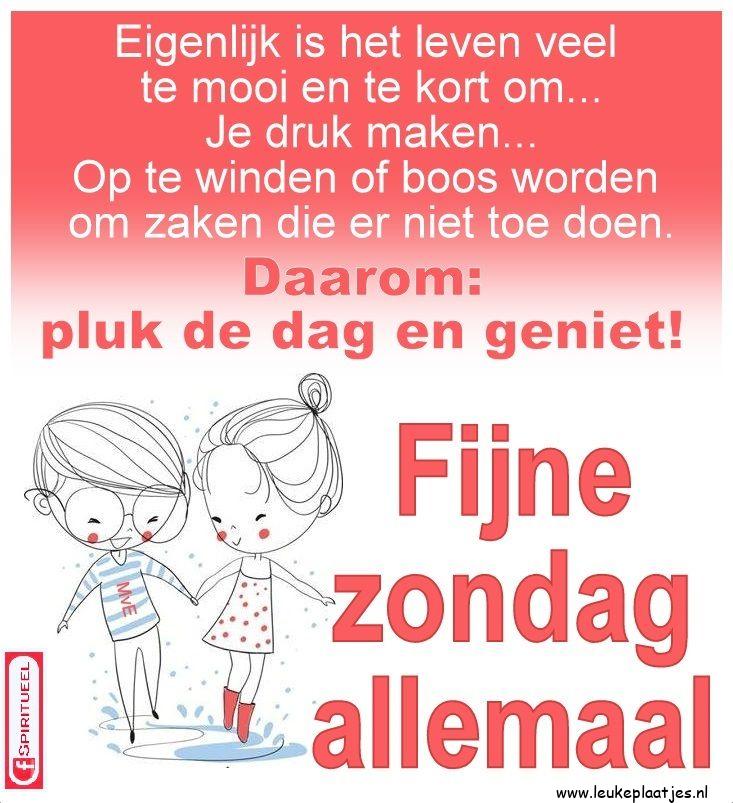 ᐅ fijne zondag tekst - fijne zondag tekst plaatjes