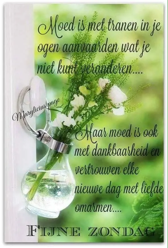 ᐅ fijne zondag tekst - Zondag plaatjes Een vaas met bloemen en een inspirerende tekst over moed en dankbaarheid. Fijne zondag!