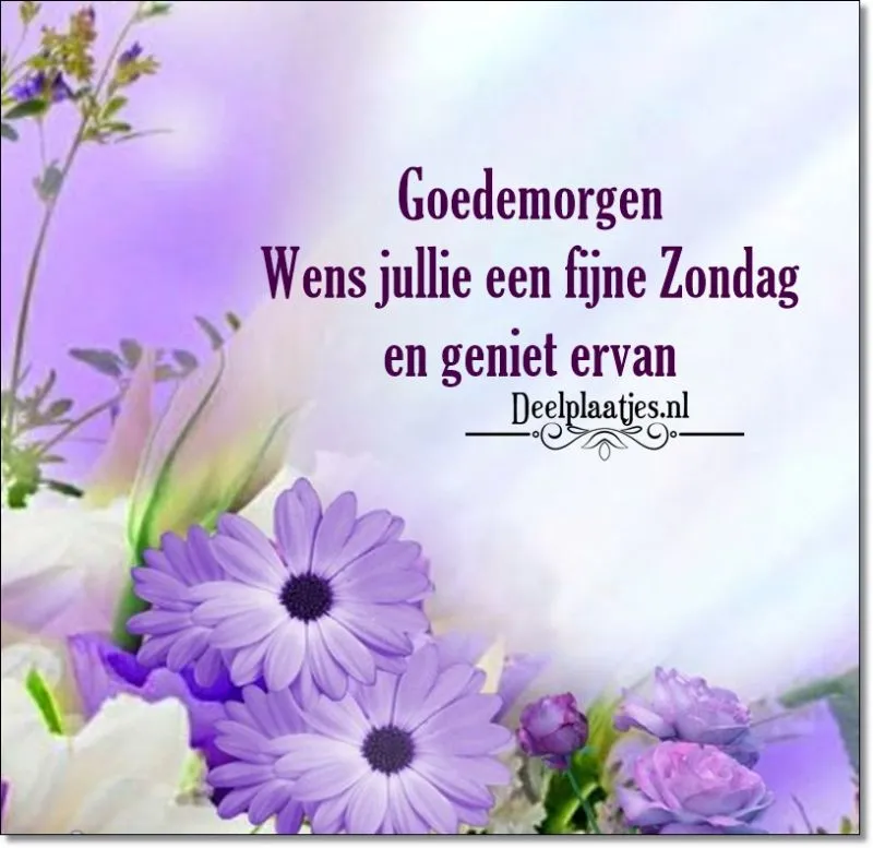 ᐅ fijne zondag tekst - Zondag plaatjes Zachte paarse bloemen met de tekst 'Goedemorgen, fijne zondag gewenst.'