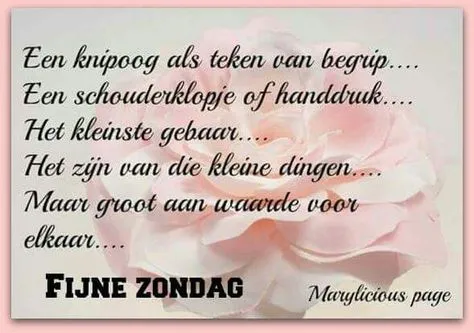 ᐅ fijne zondag tekst - Zondag plaatjes Tekst over vriendschap en waardering met een achtergrond van een rozenbloem.