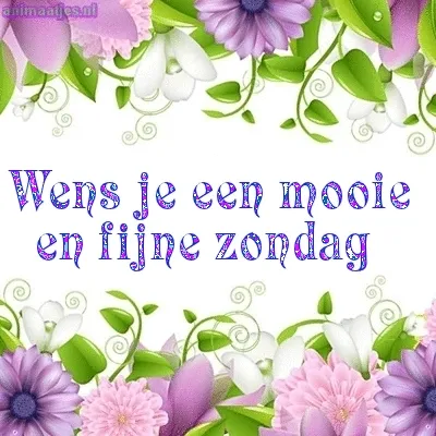 ᐅ fijne zondag tekst - Zondag plaatjes Kleurige bloemenlijst met de tekst: "Wens je een mooie en fijne zondag".