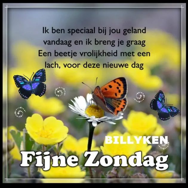 ᐅ fijne zondag tekst - Zondag plaatjes Achtergrond met bloemen en vlinders, teksten over een fijne zondag.