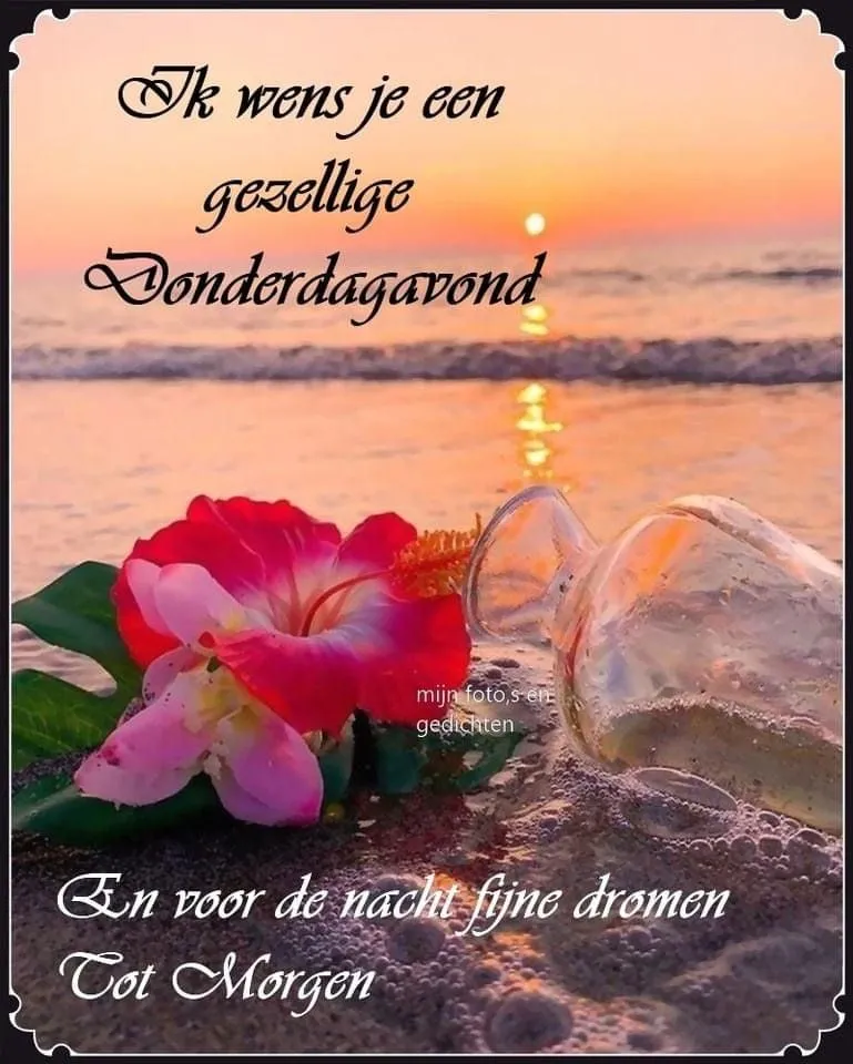 Een flesje op het strand met een bloem, zonsondergang op de achtergrond.