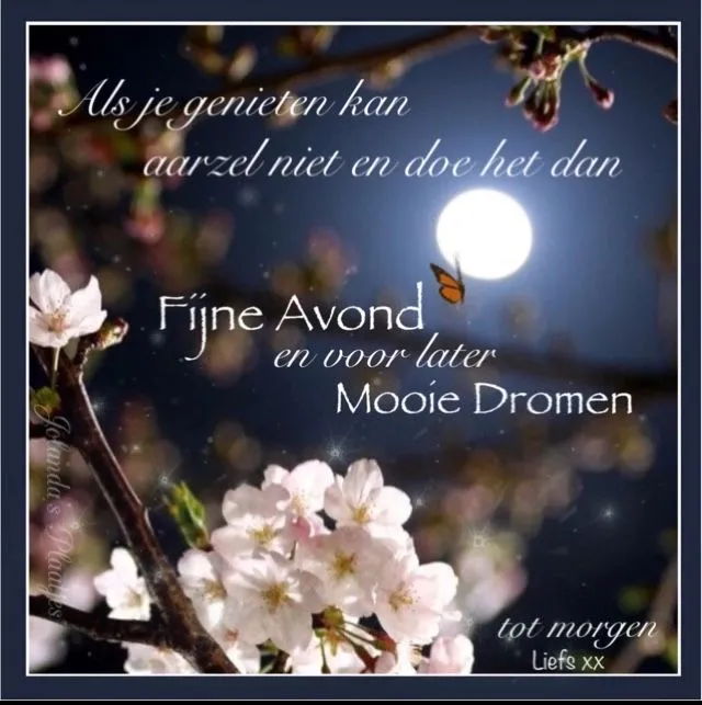 Bloesems bij volle maan met tekst: "Fijne Avond en mooie Dromen, tot morgen."