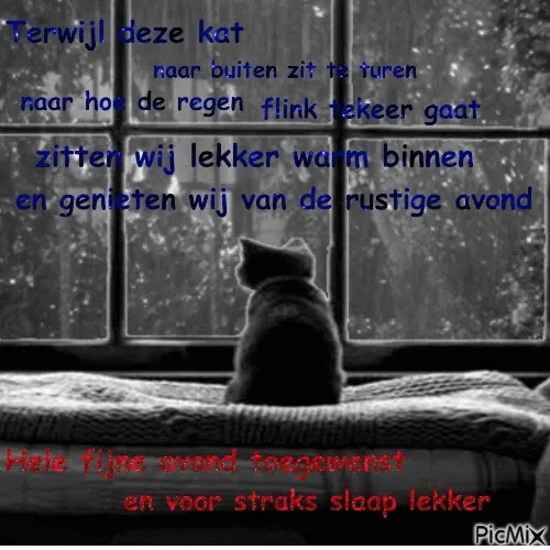 Een kat kijkt naar buiten terwijl het regent, binnen is het warm en gezellig.