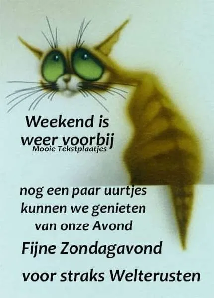 Een cartoonachtige kat met tekst over het weekend en een fijne zondagavond.