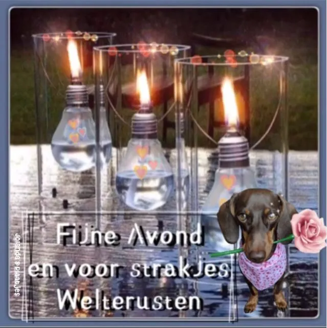 Drie brandende lampen in glazen, met een hond met een roos in een shirt.