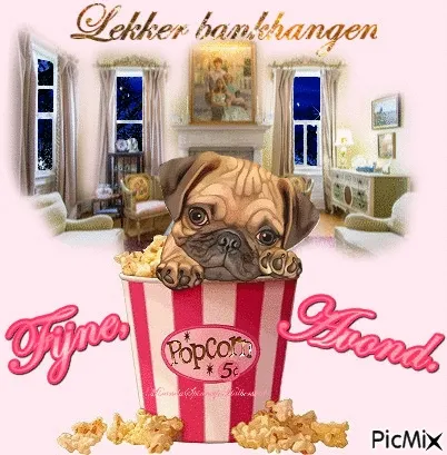 Een schattige dog in een popcornbak, met een woonkamer op de achtergrond.