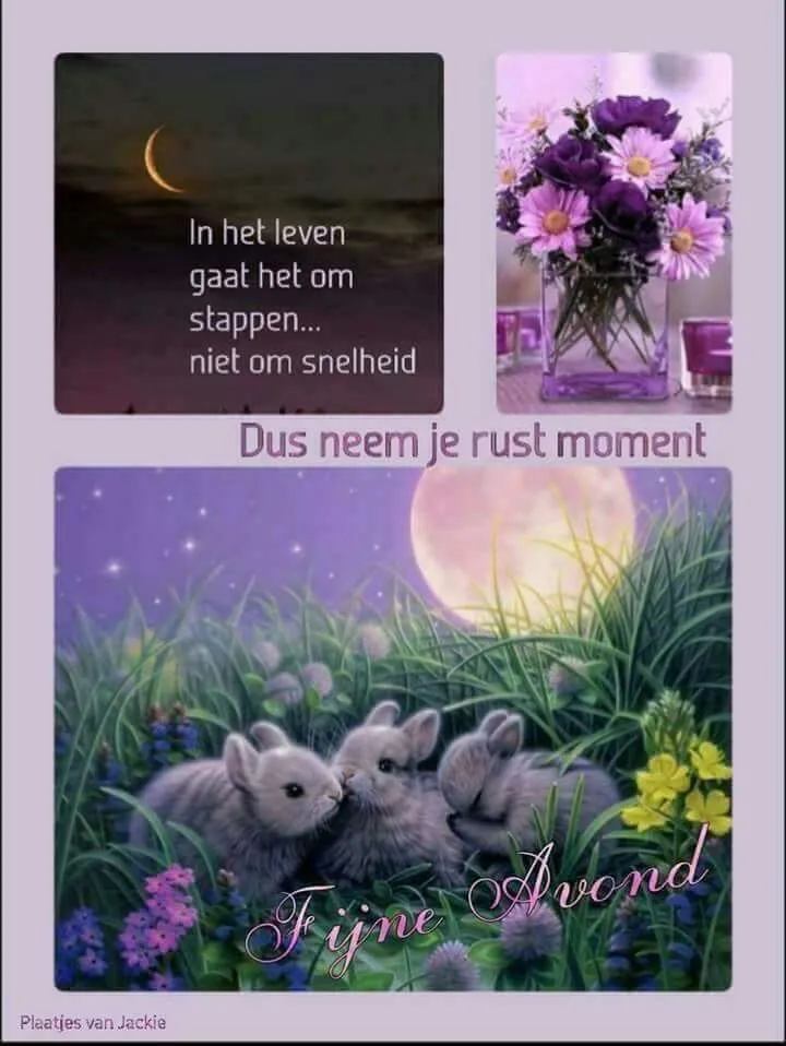 Drie afbeeldingen met teksten over rust en natuur, inclusief konijntjes in gras.