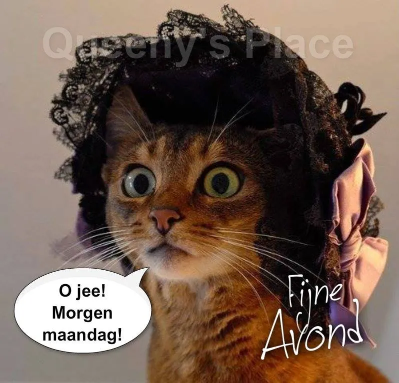 Kat met grote ogen en een hoed, tekstballon zegt: "O jee! Morgen maandag!"