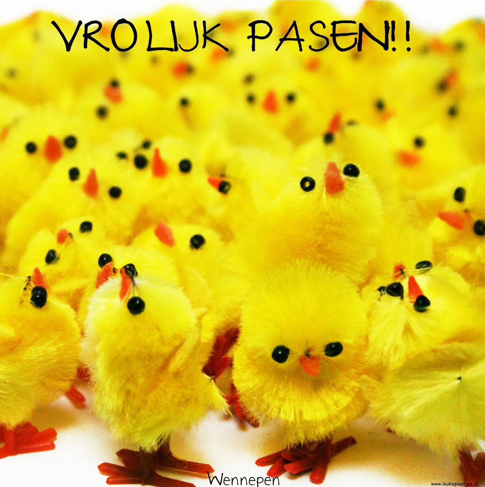 Groep gele kuikens met "Vrolijk Pasen!!" in grote letters erboven.