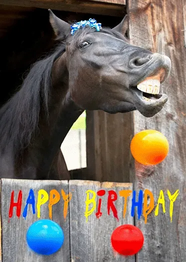 Zwart paard met een vrolijke glimlach en ballen, gefeliciteerd met je verjaardag.