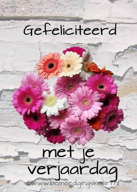 Een kleurrijke bloemenring met de tekst: "Gefeliciteerd met je verjaardag".