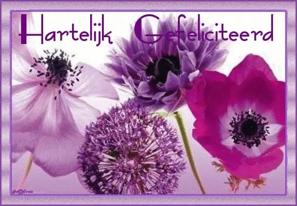 ᐅ gefeliciteerd vrouw - Verjaardag plaatjes Kleurrijke bloemen met de tekst 'Hartelijk Gefeliciteerd' op een zachte achtergrond.