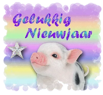 Een schattig varkentje met "Gelukkig Nieuwjaar" op een kleurrijke achtergrond.