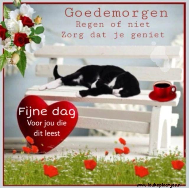 ᐅ geniet goedemorgen fijne dag - Fijne Dag plaatjes