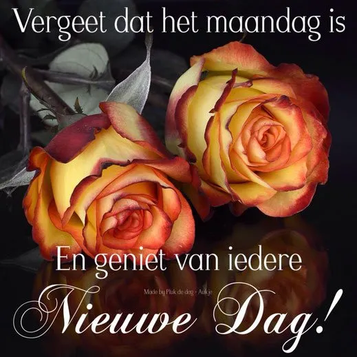 ᐅ gezegende maandag - Maandag plaatjes ᐅ gezegende maandag - Maandag plaatjes