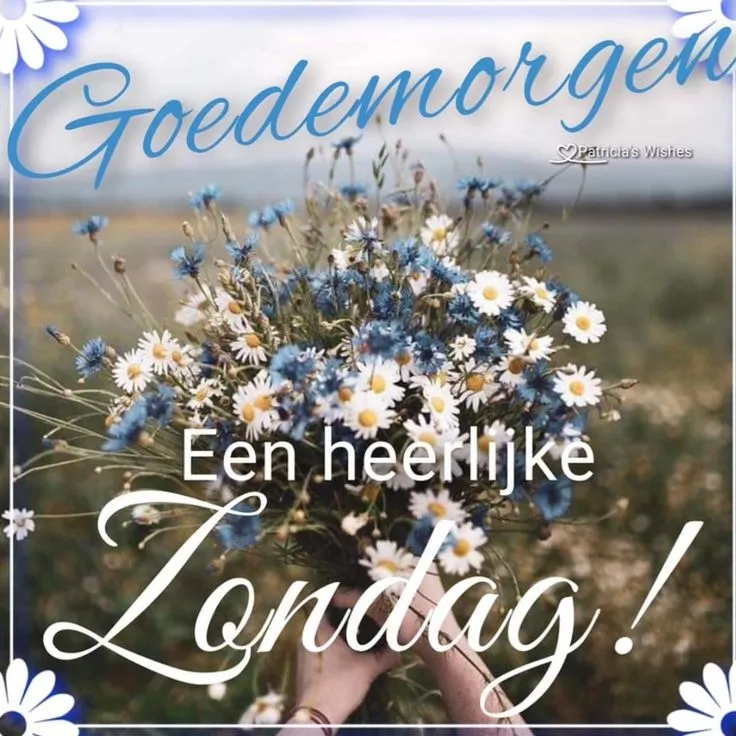 Een hand houdt een bloemenboeket met de tekst "Goedemorgen" en "Een heerlijke Zondag!"