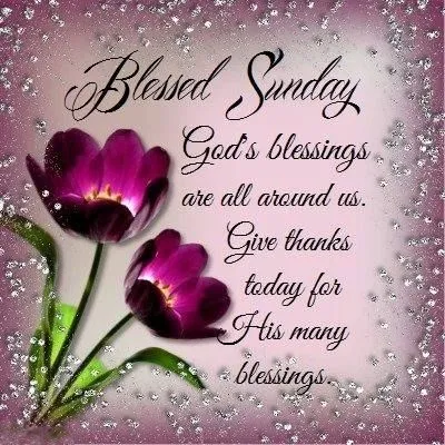 Tekst met de boodschap "Gezegende zondag" en paarse bloemen op een sprankelende achtergrond.