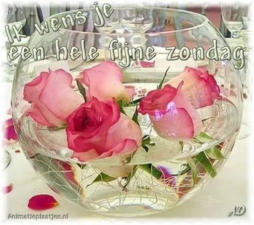 Rozen in een glazen vaas met de tekst "Fijne zondag".