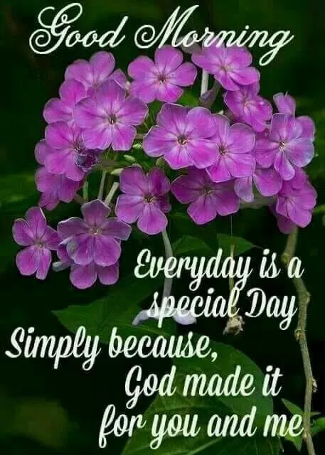 Paarse bloemen met de tekst "Goedemorgen" en "Elke dag is speciaal".