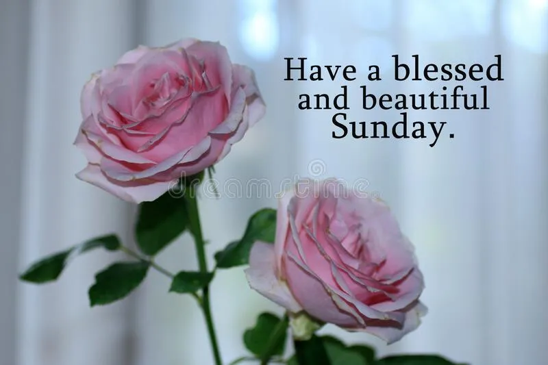 Twee roze rozen op een achtergrond met een vriendelijke tekst.