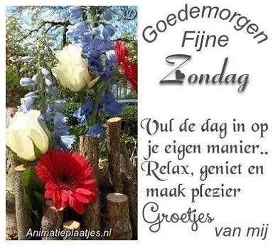 Bloemenarrangement met de tekst: "Goedemorgen, Fijne Zondag, Groetjes van mij."