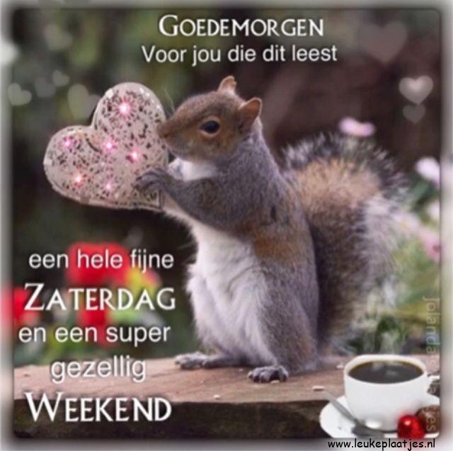 ᐅ gezellig weekend - gezellig weekend plaatjes