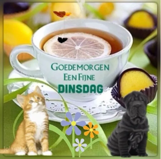 ᐅ gezellige dinsdag - Dinsdag plaatjes