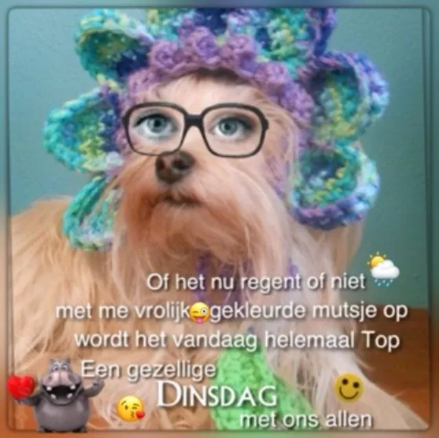 ᐅ gezellige dinsdag - Dinsdag plaatjes