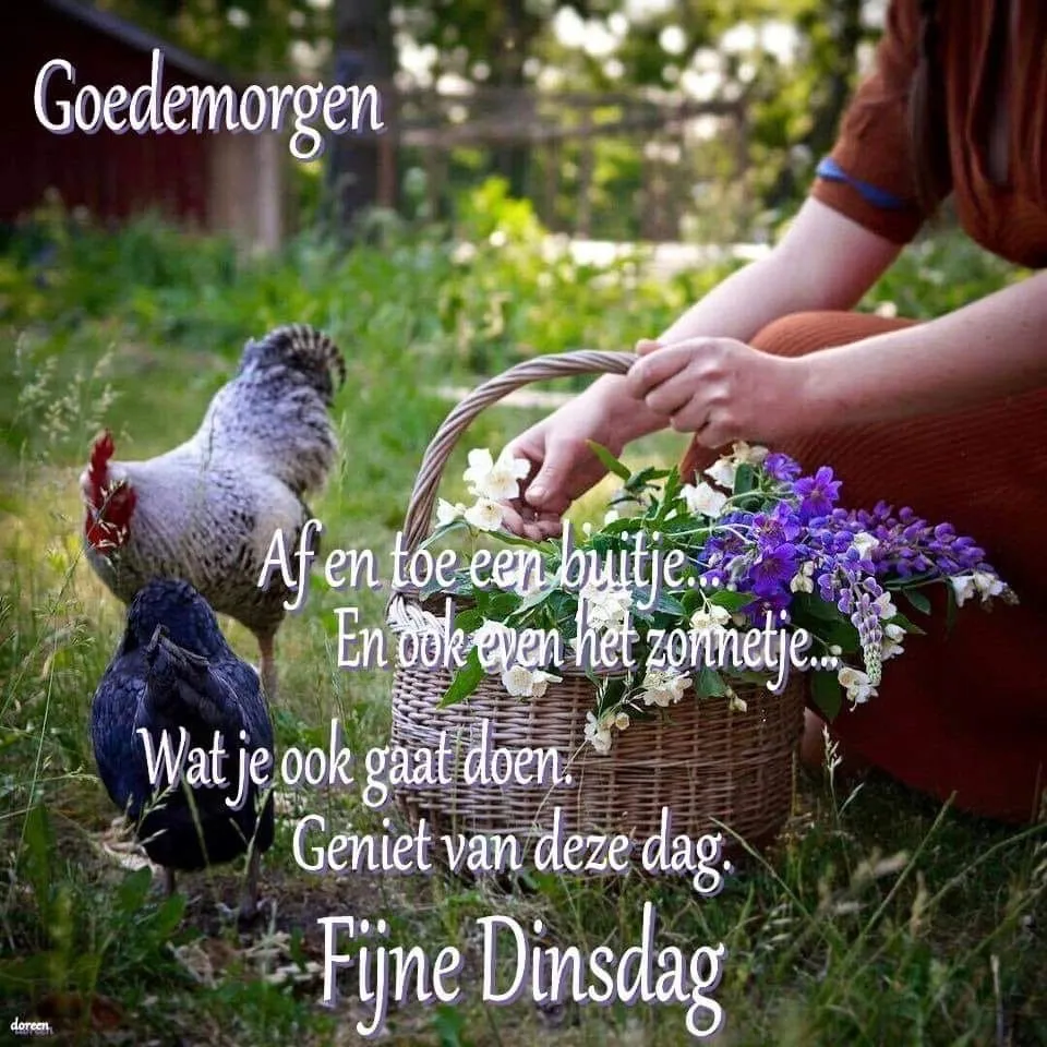 ᐅ gezellige dinsdag - Dinsdag plaatjes