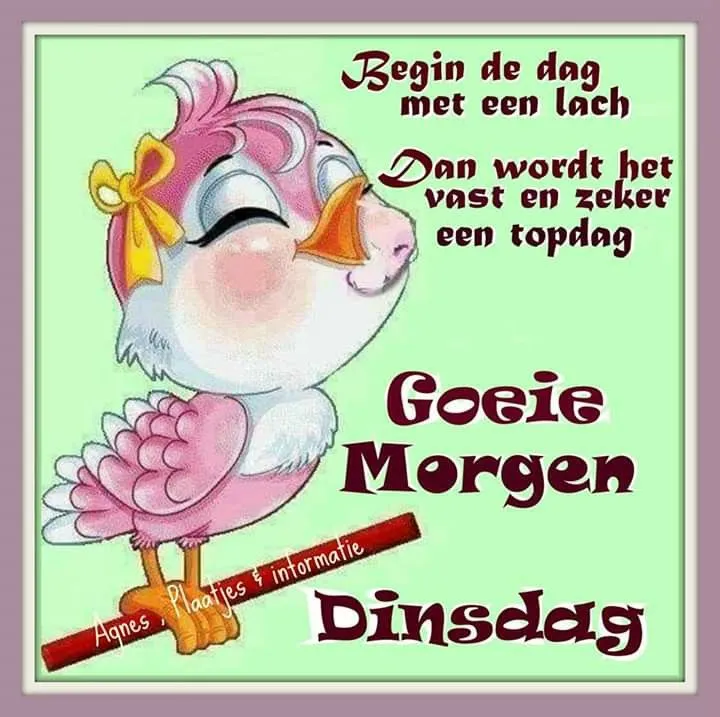 ᐅ gezellige dinsdag - Dinsdag plaatjes