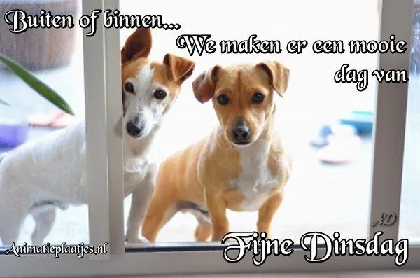 ᐅ gezellige dinsdag - Dinsdag plaatjes