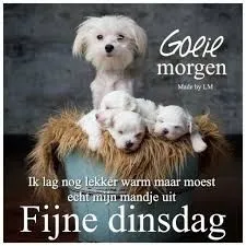 ᐅ gezellige dinsdag - Dinsdag plaatjes