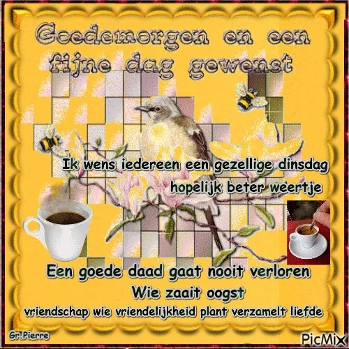 ᐅ gezellige dinsdag - Dinsdag plaatjes